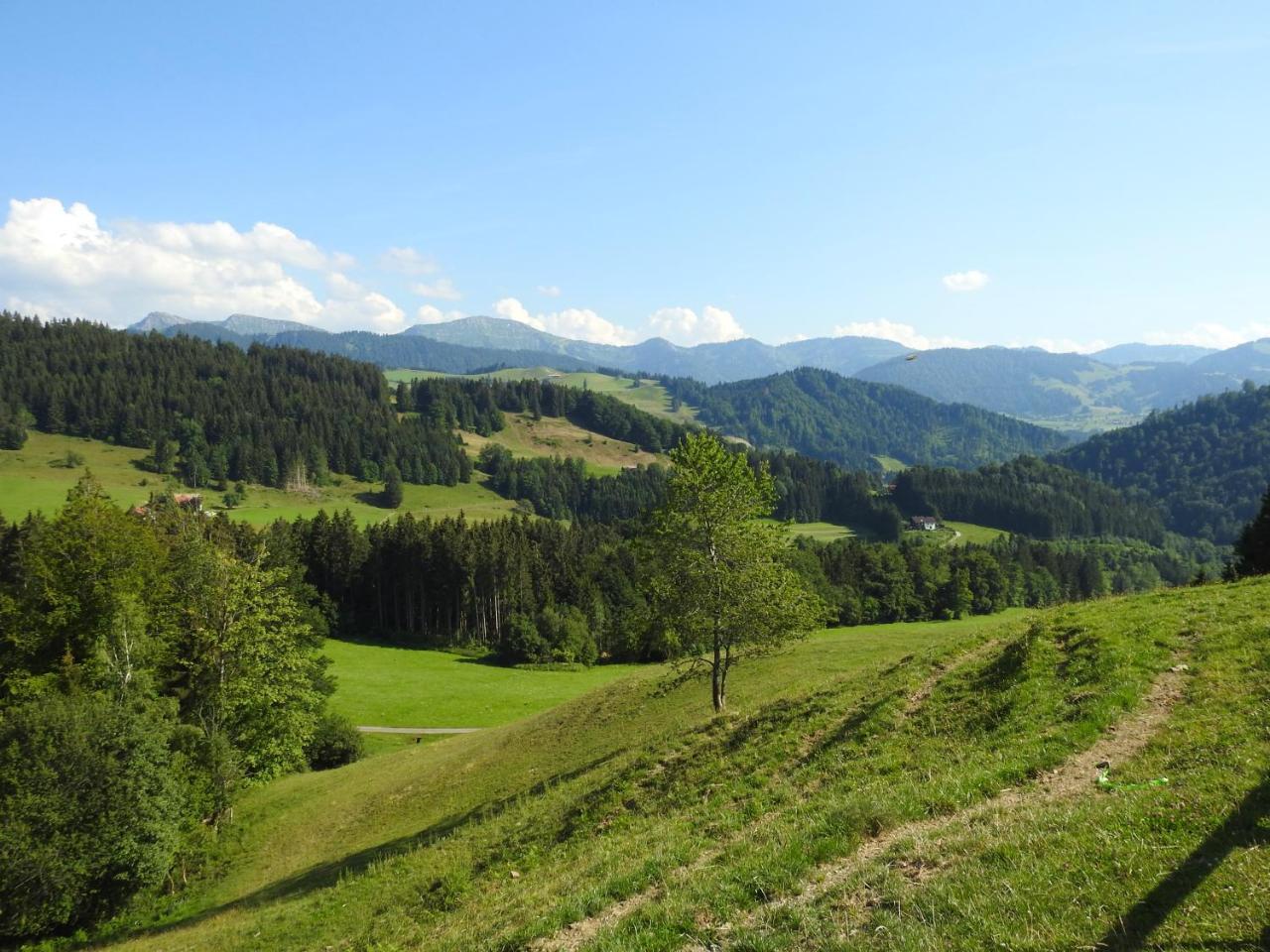 Ferienwohnungen Am Schlossberg Oberstaufen Extérieur photo